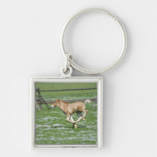 Young Horse Running Keychain
