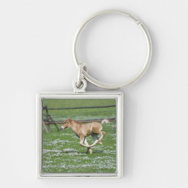 Young Horse Running Keychain (Front)