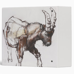 Young Ibex Gran Paradiso 2005 Binder