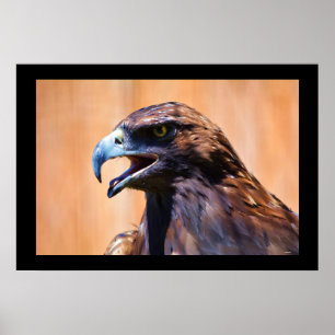Young Juvenile Bald Eagle Wildlife Painting Poster