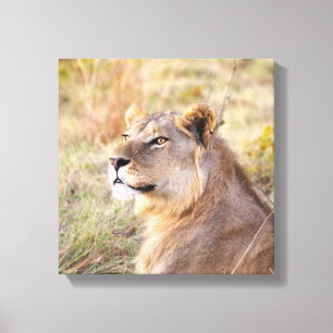 YOUNG KING OF THE JUNGLE PORTRAIT CANVAS PRINT