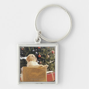 Young Labrador Leaning on a Christmas Present Keychain
