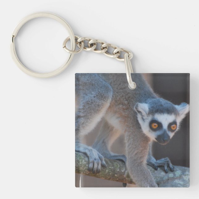 Young Lemur Keychain (Front)