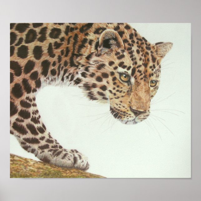Young Leopard Painting Poster (Front)