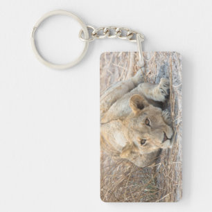 Young lion keychain