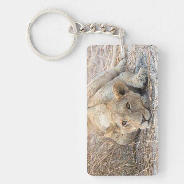 Young lion keychain (Front)