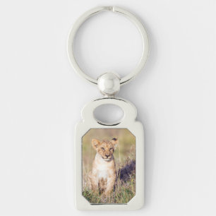 Young lion keychain