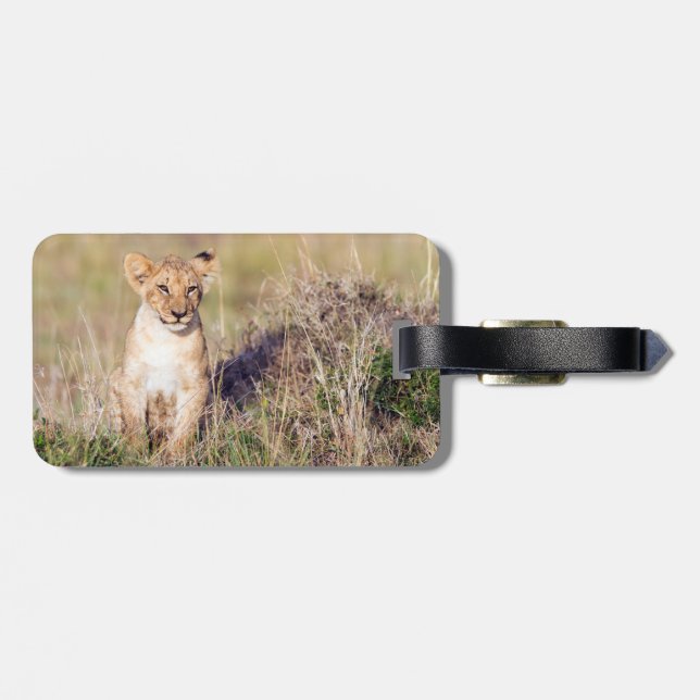 Young lion luggage tag (Back Horizontal)