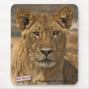 Young Lion Mouse Pad