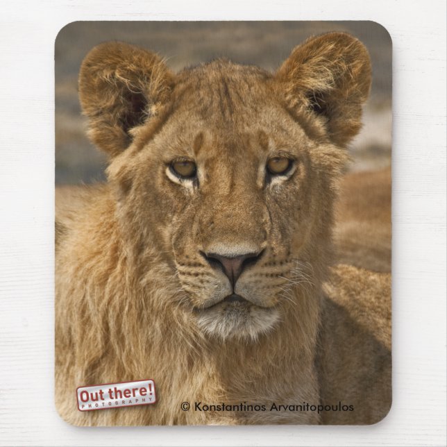 Young Lion Mouse Pad (Front)