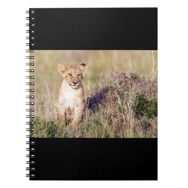 Young lion notebook (Front)