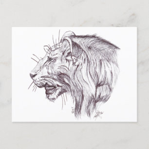 YOUNG LION POSTCARD