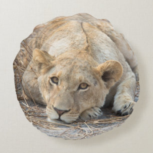 Young lion round pillow