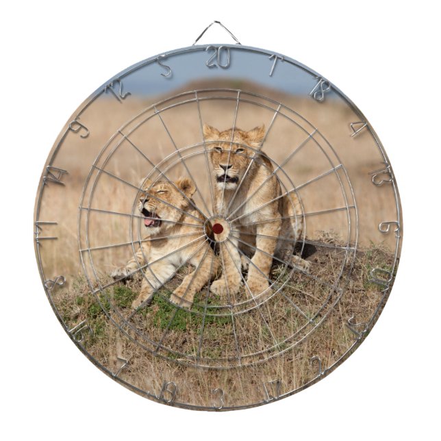 Young lions dartboard (Front)