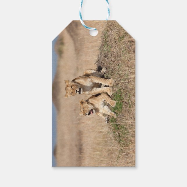 Young lions gift tags (Front)