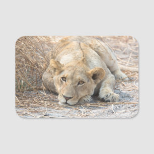 Young lions name tag