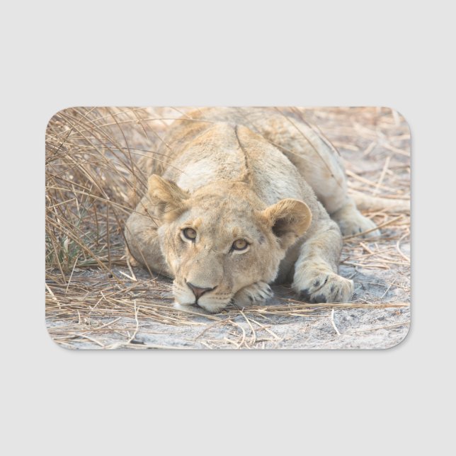 Young lions name tag (Front)
