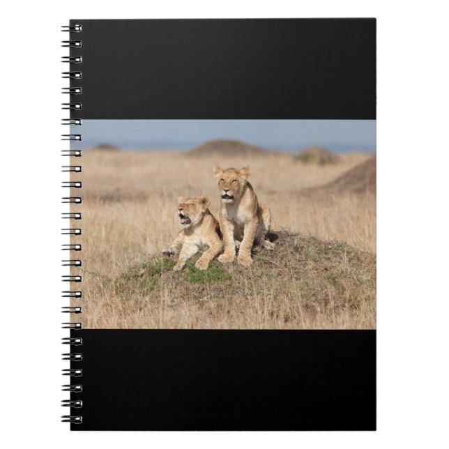 Young lions notebook (Front)