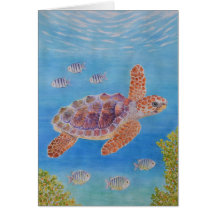 Young Loggerhead Sea Turtle