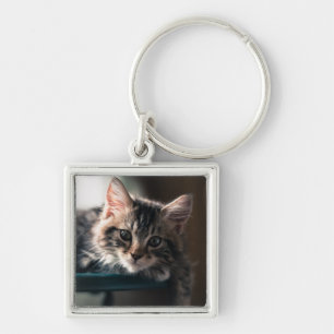 Young Male Tabby Cat 2 Keychain