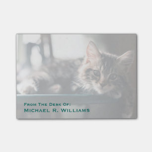 Young Male Tabby Cat 2 Post-it Notes