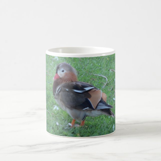 Young Mandarin Duck Mug (Center)