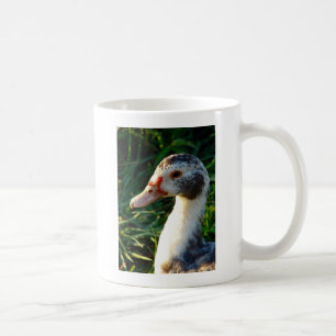 Young Muscovy Hen Duck Coffee Mug