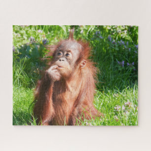 Young Orangutan Deep in Thought Jigsaw Puzzle