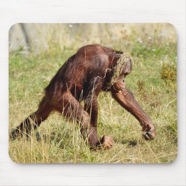 Young orangutan walking on grass  mouse pad (Front)