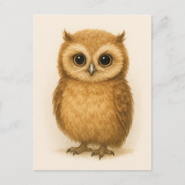 Young Owl Baby Wild Animals Postcard (Front)