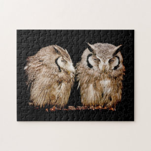 Young Owlets Jigsaw Puzzle
