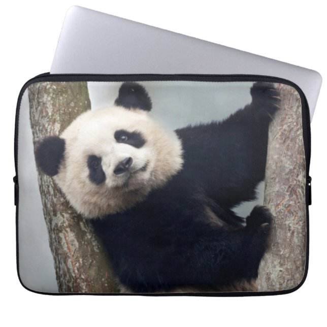 Young Panda climbing a tree, China Laptop Sleeve (Front)
