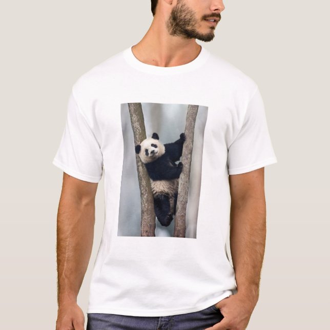 Young Panda climbing a tree, China T-Shirt (Front)