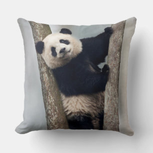 Young Panda climbing a tree, China Throw Pillow