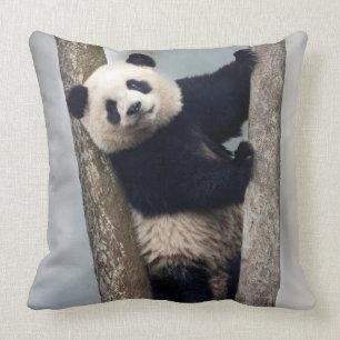 Young Panda climbing a tree, China Throw Pillow