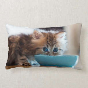 Young Persian Kitten Lumbar Pillow