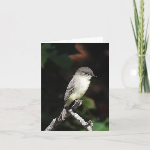 Young Phoebe blank inside Card