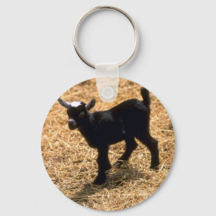 Young Pigmy Goat Keychain