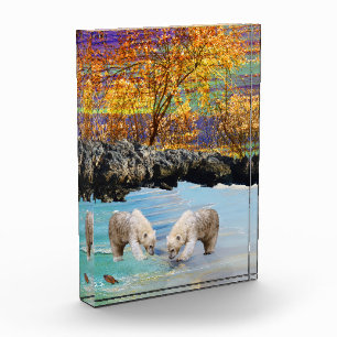 Young Polar Bears Fishing, Photo Block