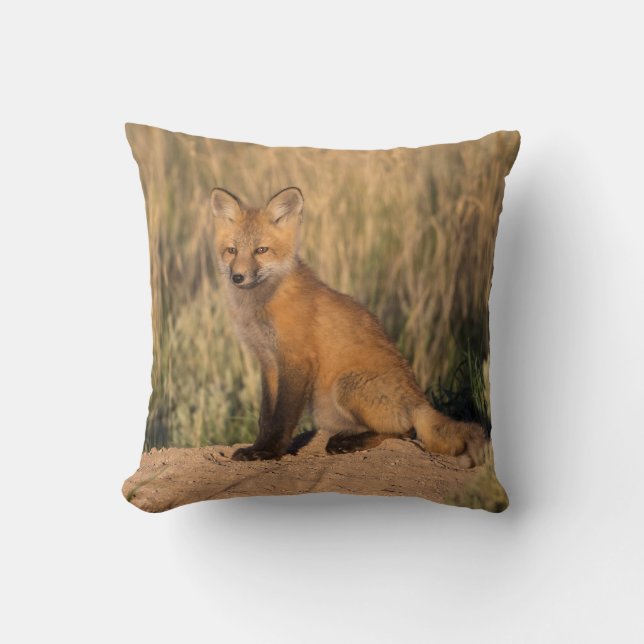 Young Red Fox at Golden Hour Throw Pillow (Front)