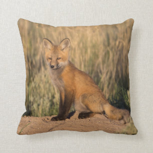 Young Red Fox at Golden Hour Throw Pillow