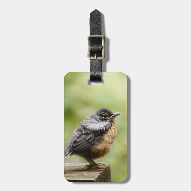 Young Robin Luggage Tag (Front Vertical)