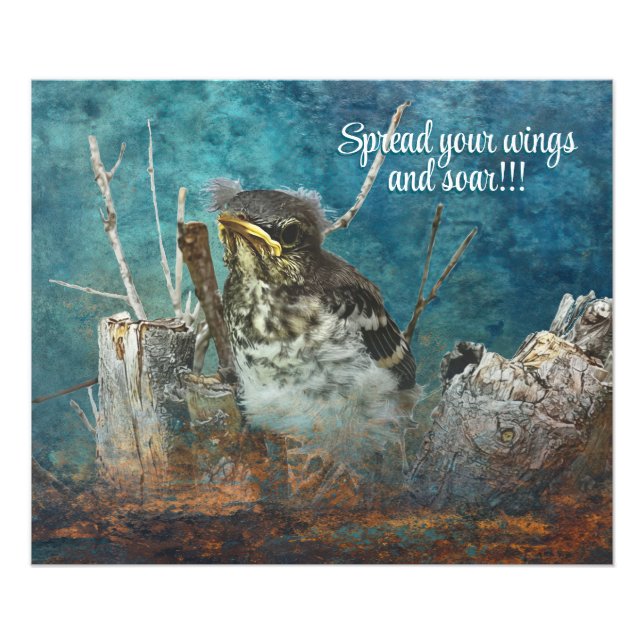 young robin photo enhanced poster (Front)