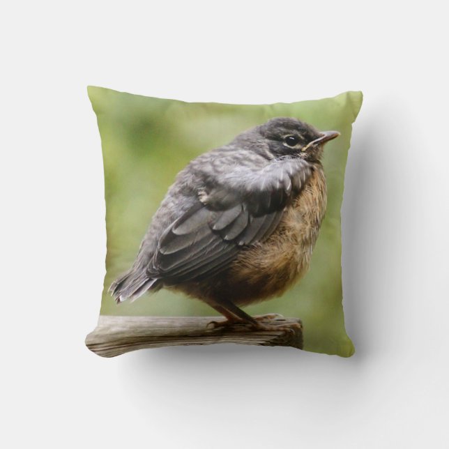 Young Robin Throw Pillow (Front)