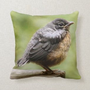 Young Robin Throw Pillow