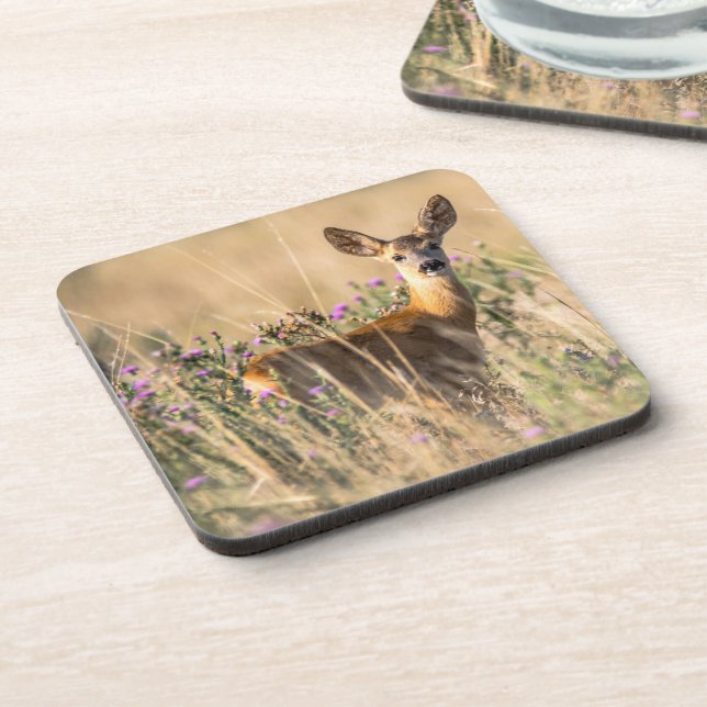 Young Roe Deer in Meadow Coaster (Left Side)