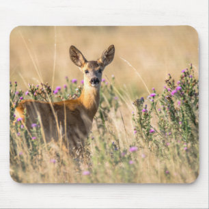 Young Roe Deer in Meadow Mouse Pad
