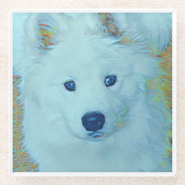 Young Samoyed on glass - coaster (Front)