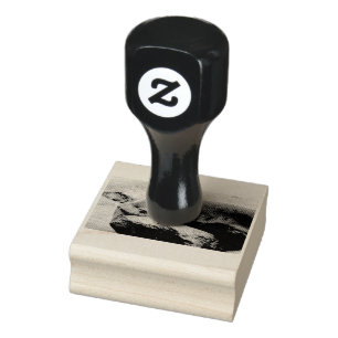 Young sea lion rubber stamp