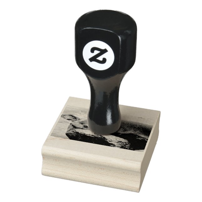 Young sea lion rubber stamp (Stamp)